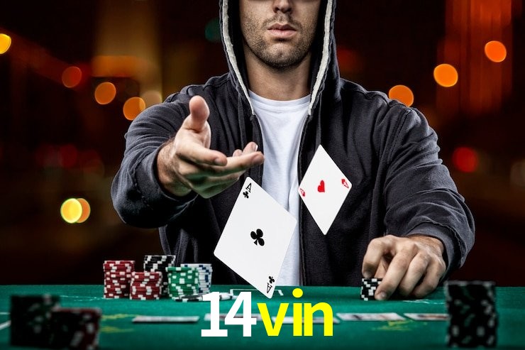 Funcionalidades App 14vin